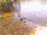 /album/ilpo/whoo13-294-jpg/